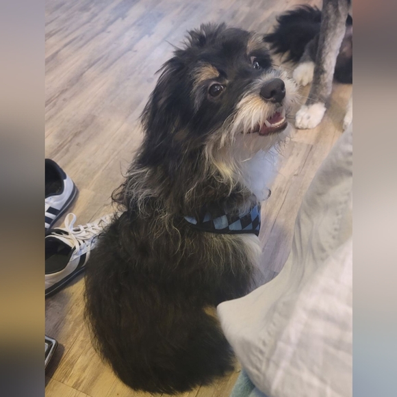 Meet your Posher, Marilee - Picture 8 of 14